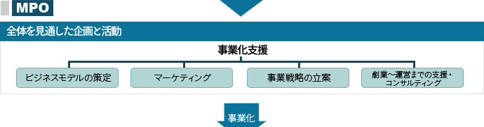 全体を見通した企画と活動