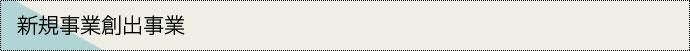 新規事業創出事業