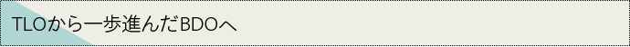 TLOから一歩進んだビジネスモデルBDO